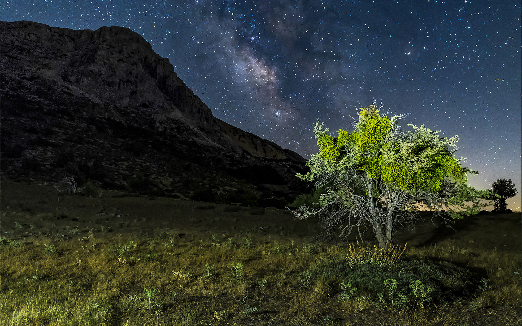 2025. NOVIEMBRE. TEMA: 